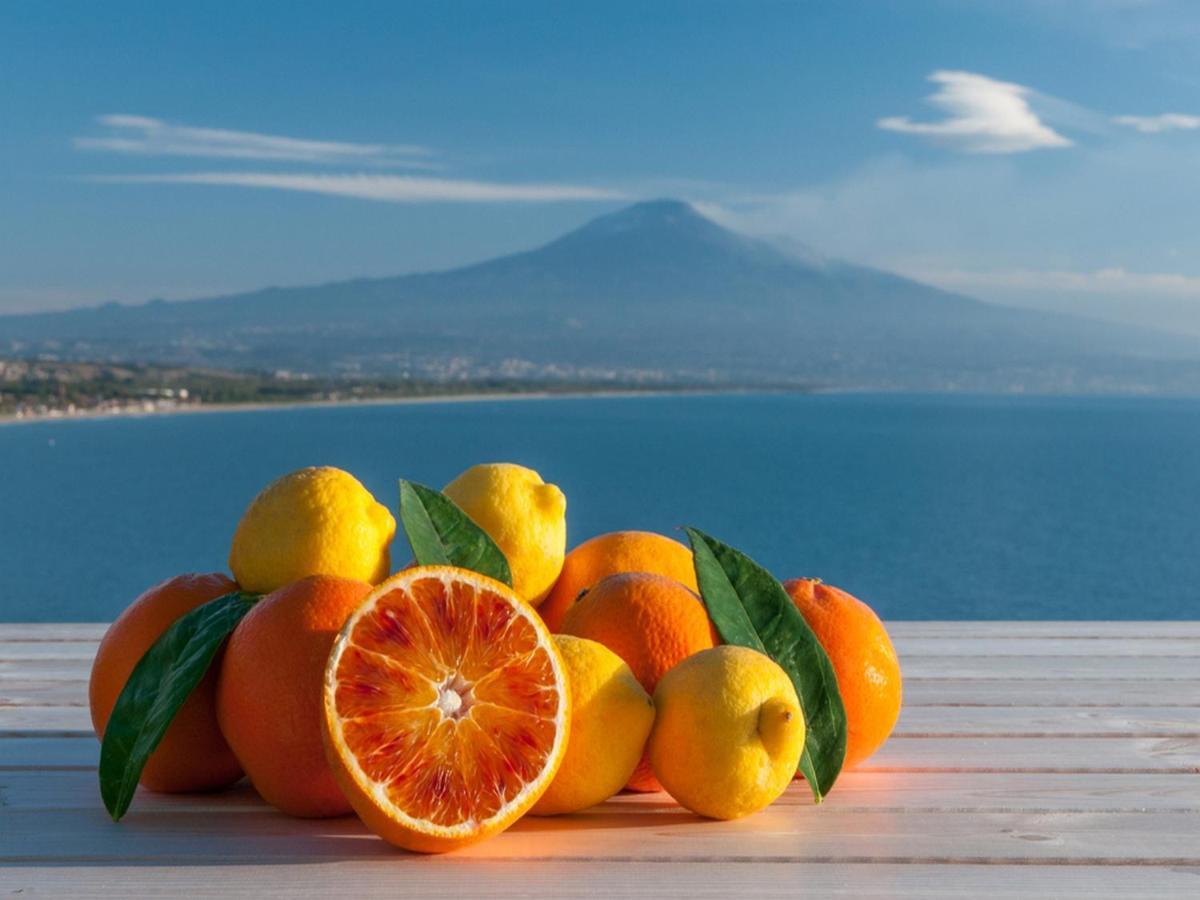 Villaggio Albergo Internazionale La Plaja CTA Exteriér fotografie